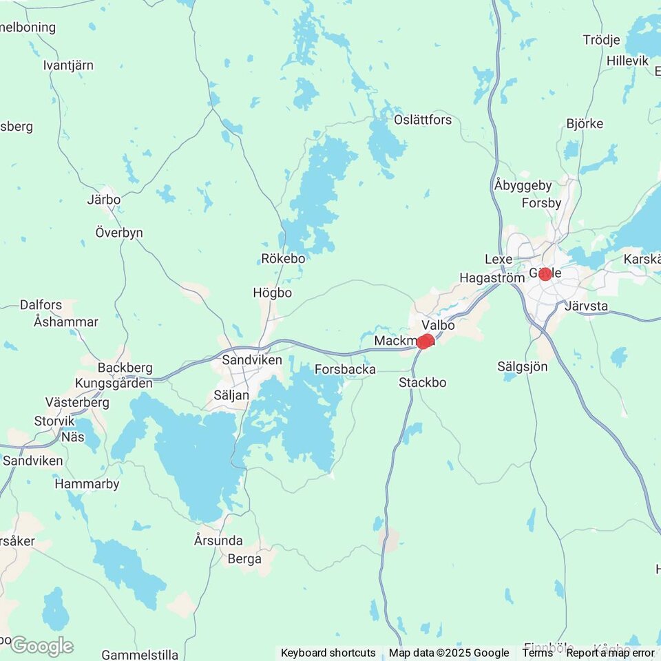 Butiker med rea-varor nära Kungsgården, Gästrikland